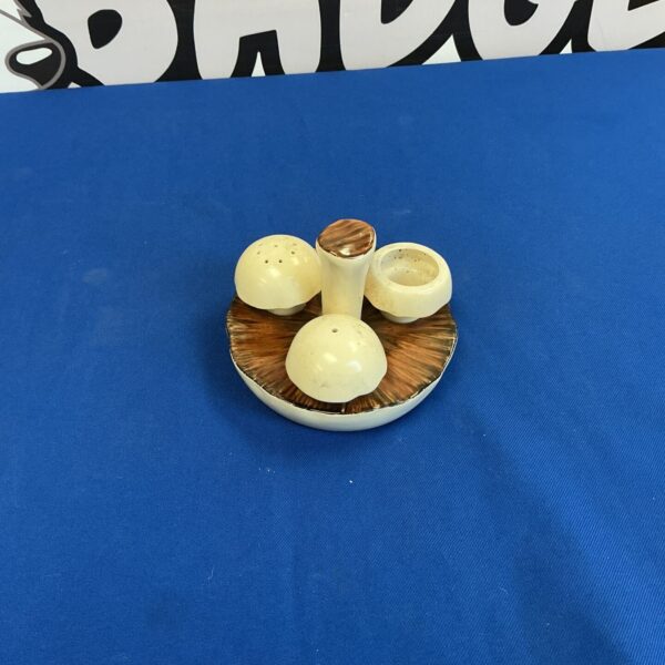 Vintage Carlton Ware cruet set for table condiments.