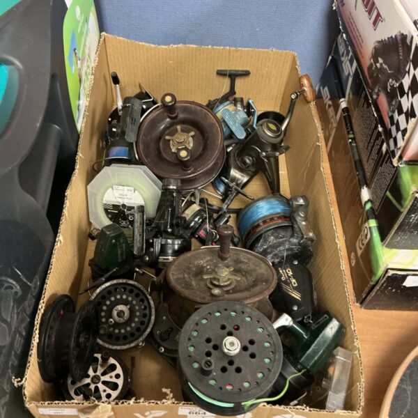 Quantity of fishing reels inc Daiwa