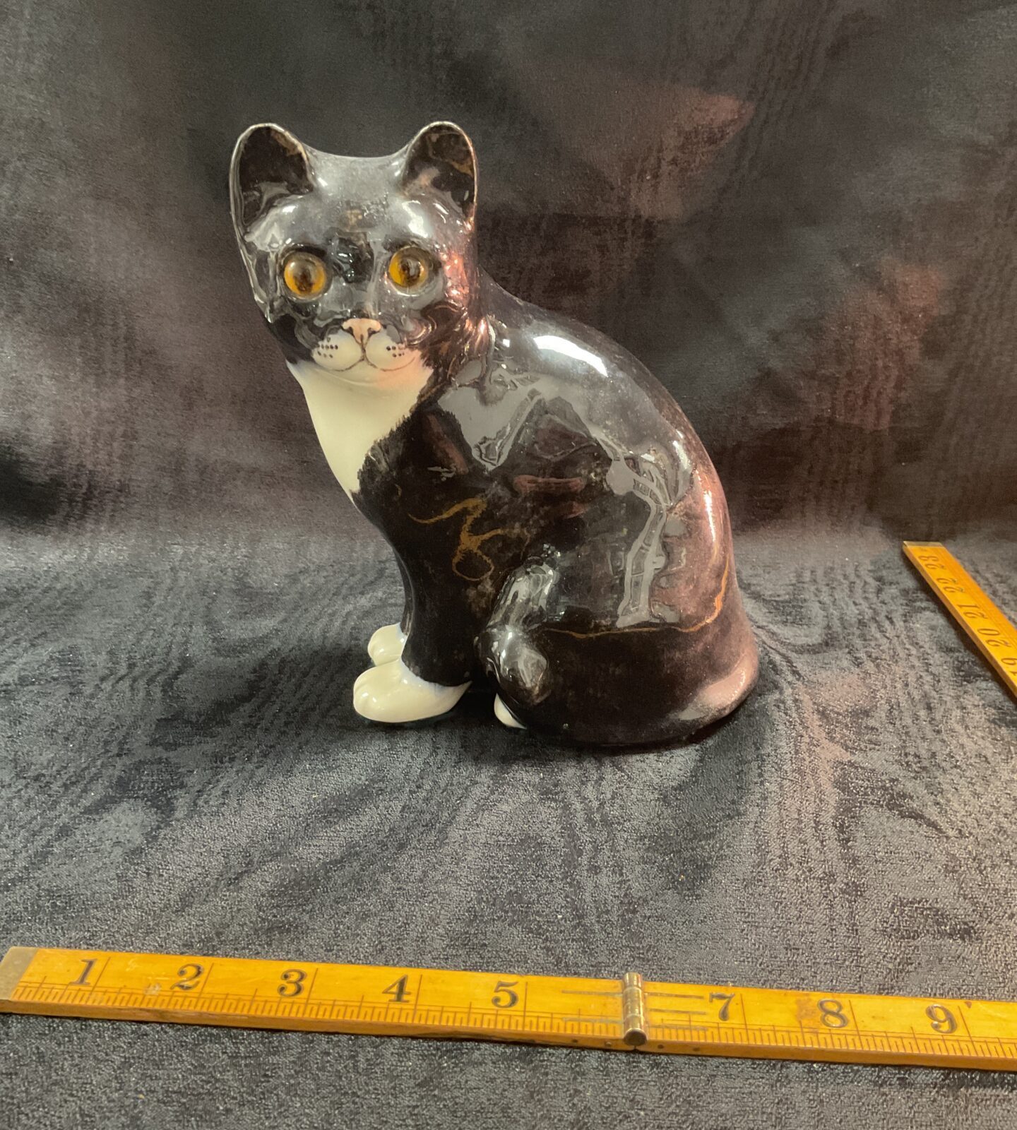 Winstanley Black and White Cat Size 3