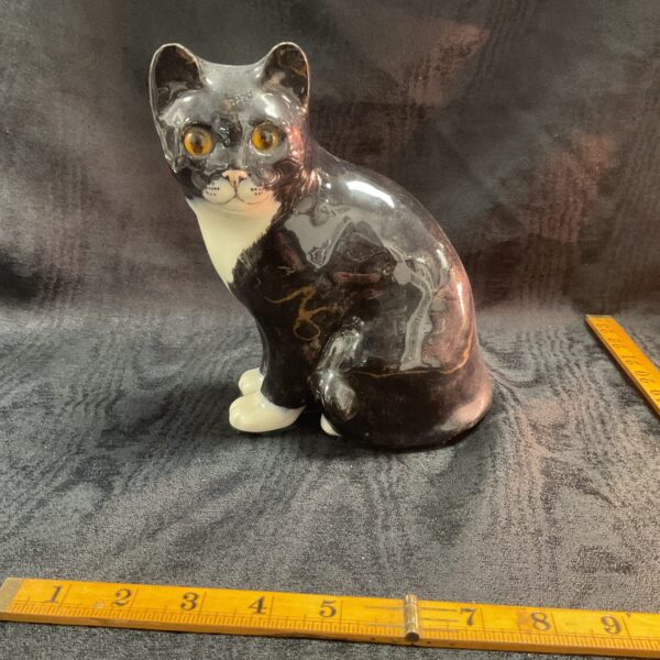 Winstanley Black and White Cat Size 3