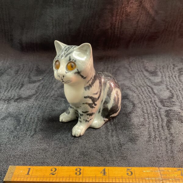 Small seated Winstanley Grey tabby kitten cat Size 1