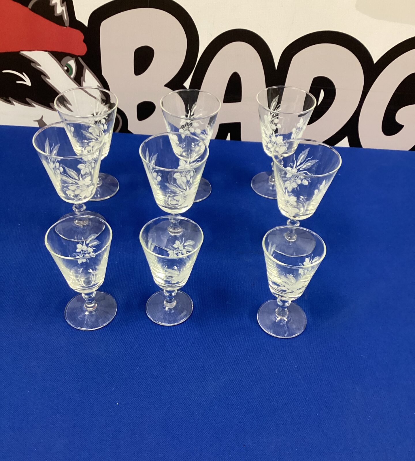 Six etched glass Wine and Three Port Glasses
