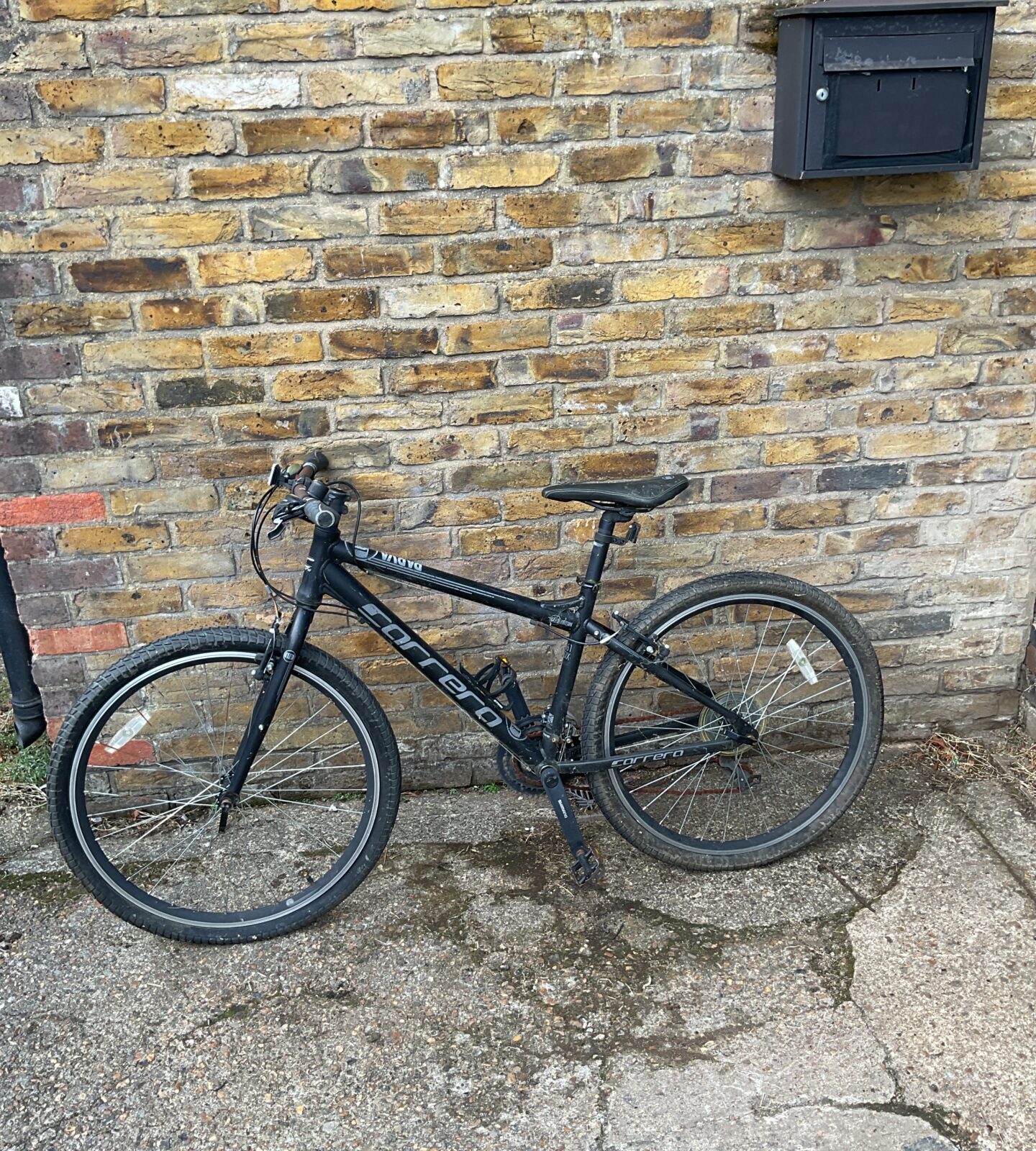 Carrera parva LTD edition mountain bike