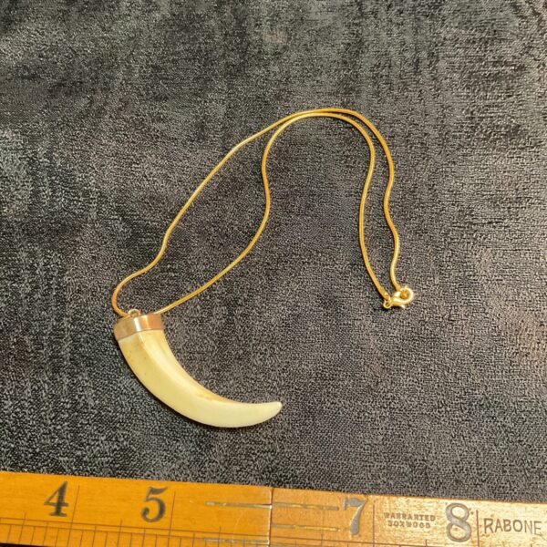 Antique bone tooth amulet necklace with carved detail.