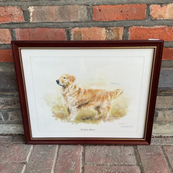 Signed Mandy Shepherd golden retriever limited edition print.