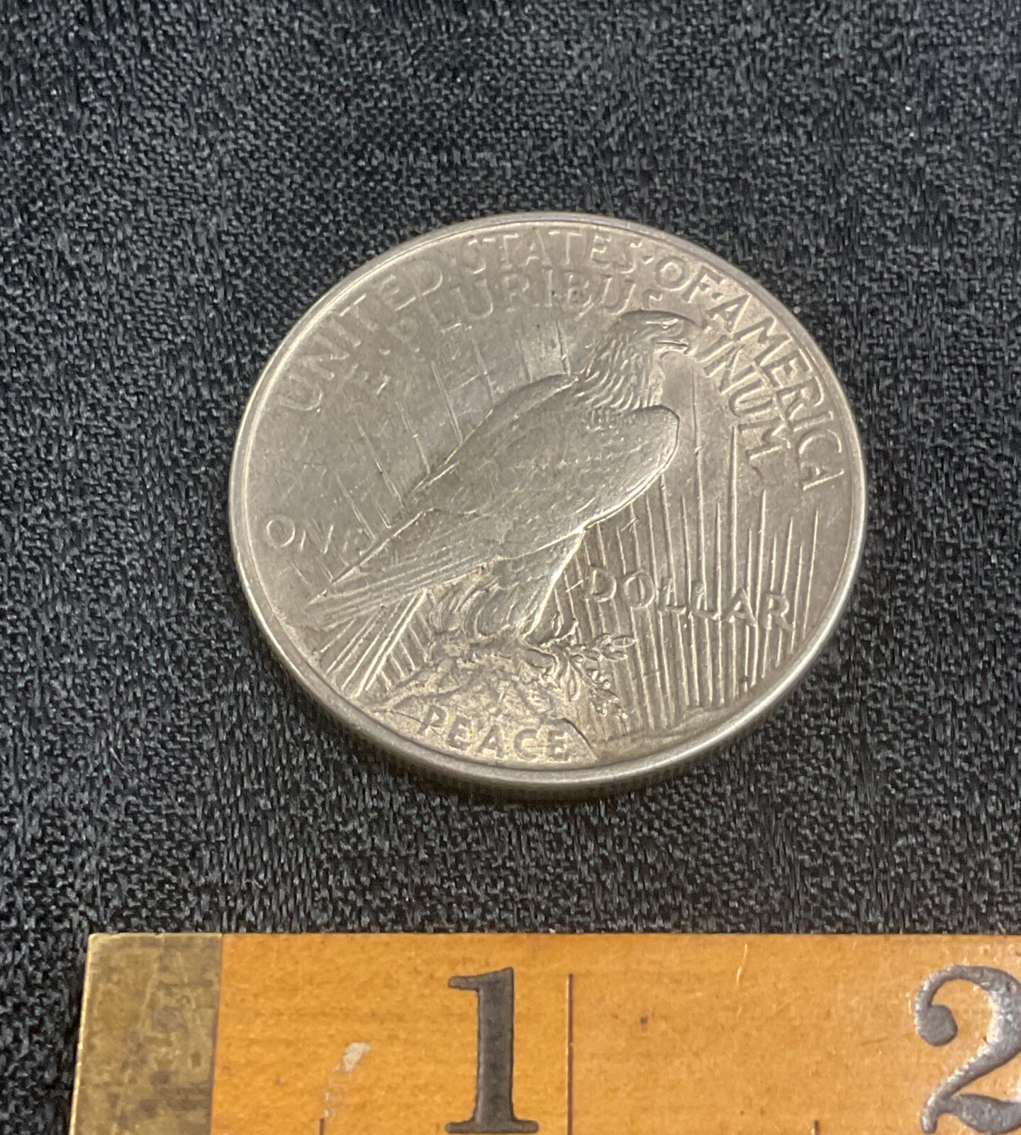1922 American Silver peace dollar - Image 2