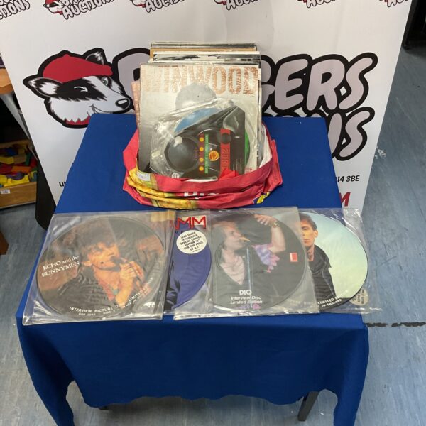 Collection of vinyl records inc echo & the bunny men picture disc