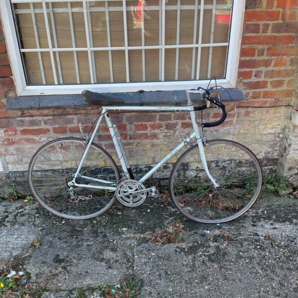 Vintage Carlton Pro-Amp 12 racing bike in a garden setting.