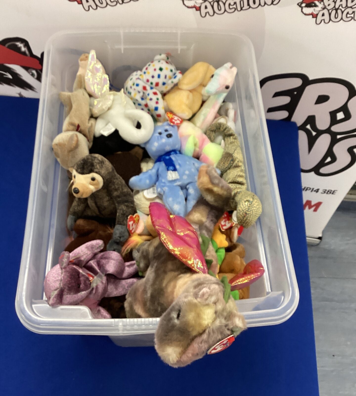 Large collection of Beanie toys