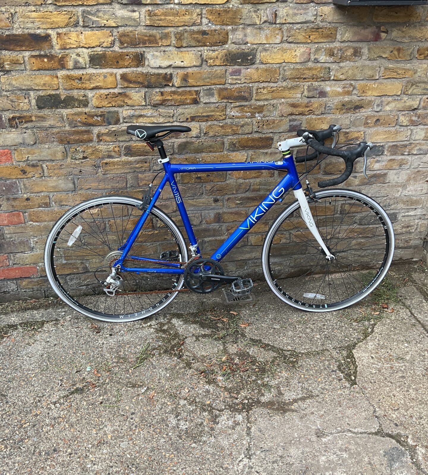 Viking Vittoria Bike
