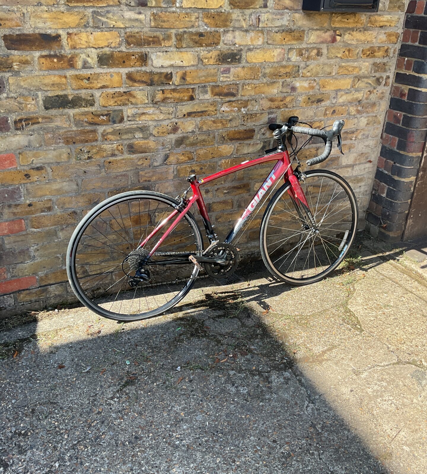 Giant Avail Bike