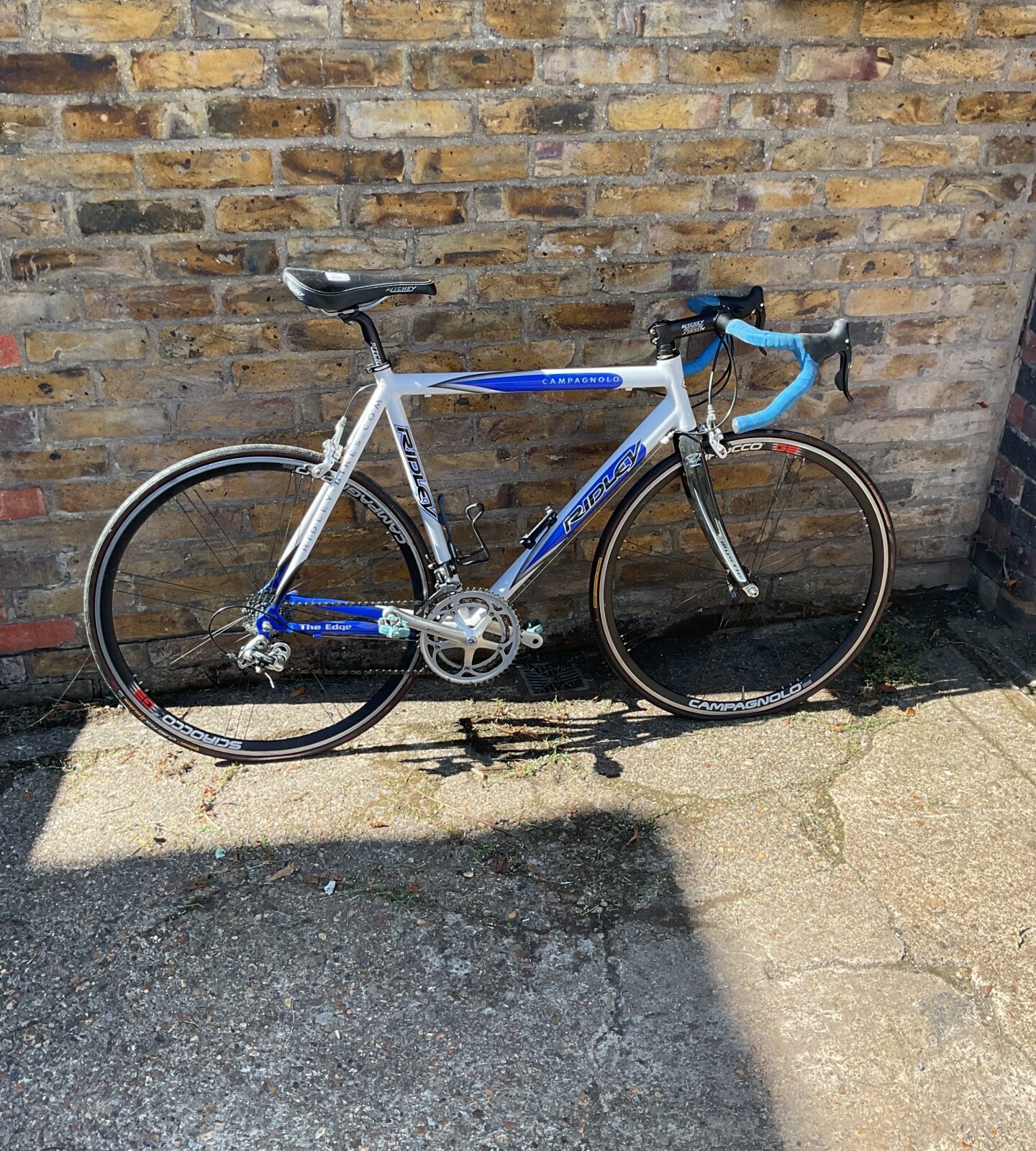 Ridley Campagnolo carbon framed bike
