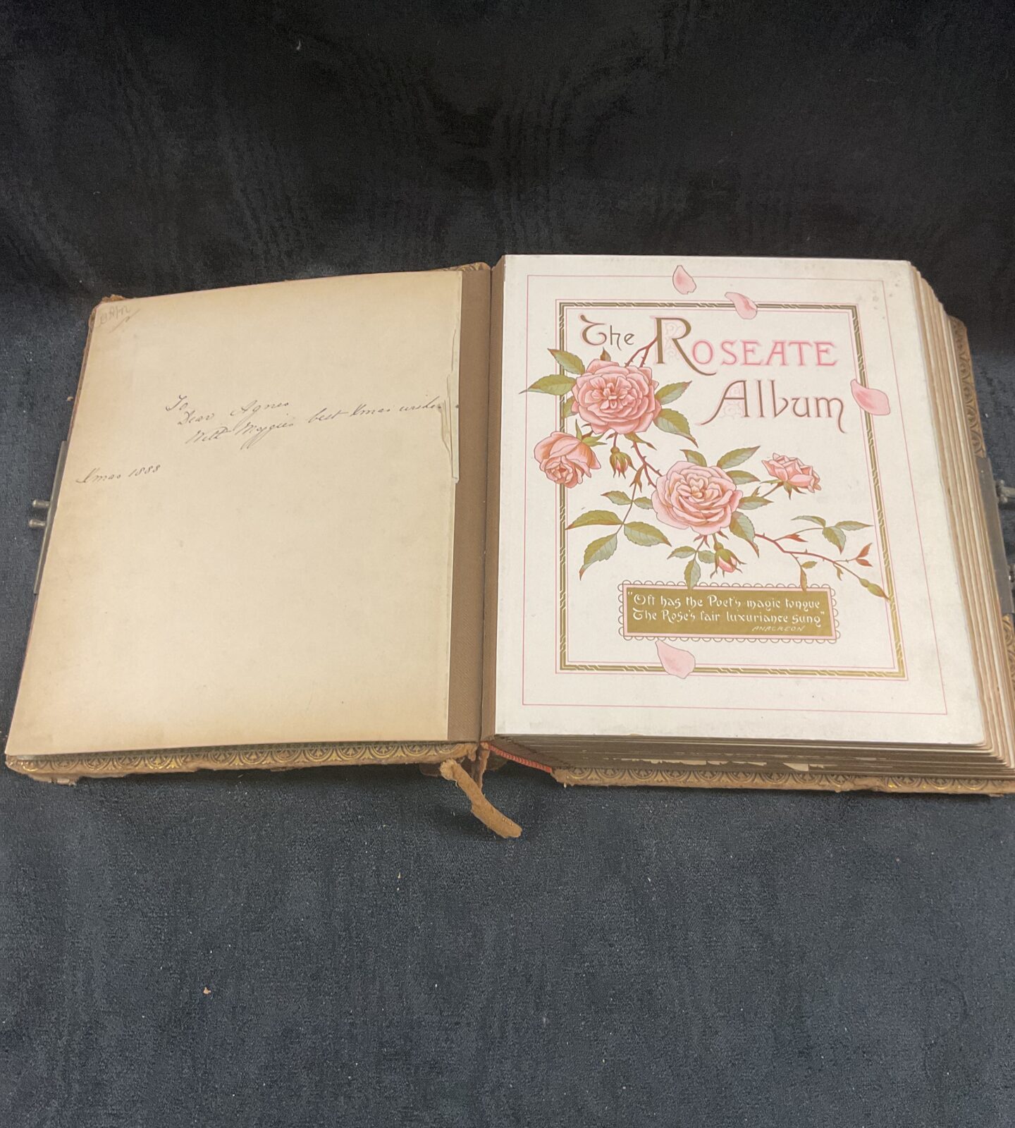 1888 Victorian The Roseate Photograph Album with Photographs