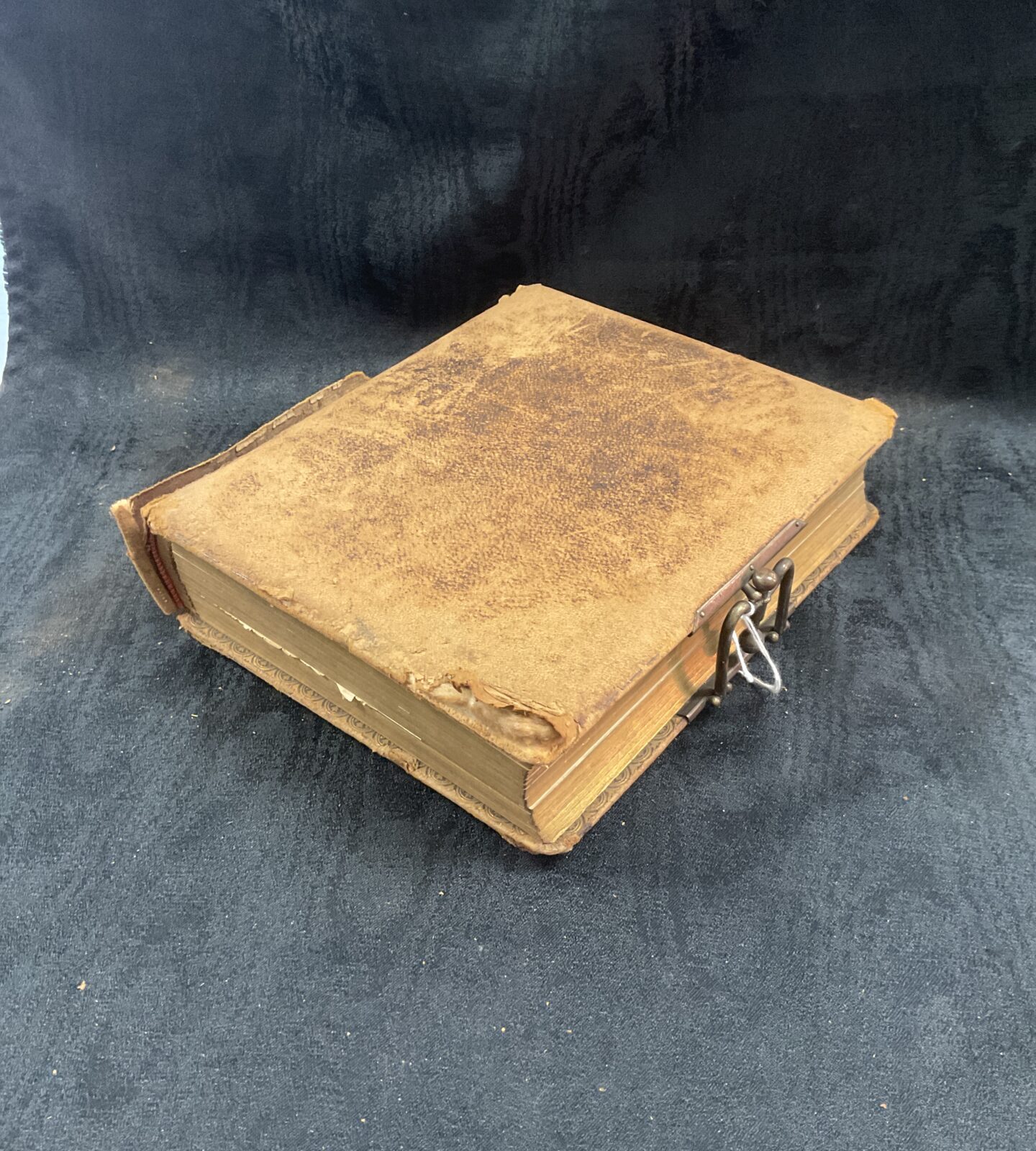 1888 Victorian The Roseate Photograph Album with Photographs - Image 4