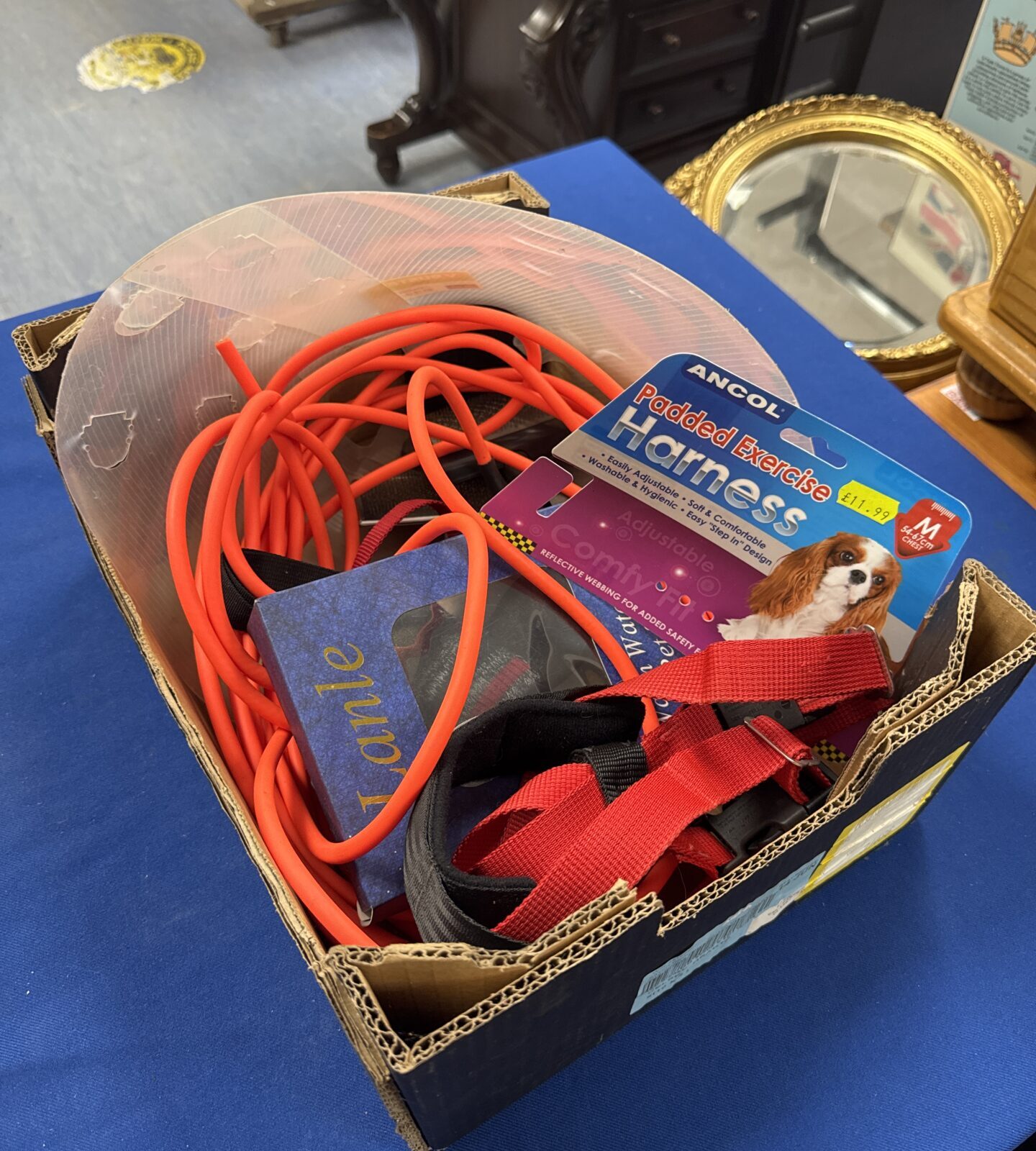 Red Ancol padded dog harness for comfortable walks.