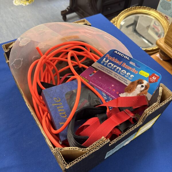 Red Ancol padded dog harness for comfortable walks.