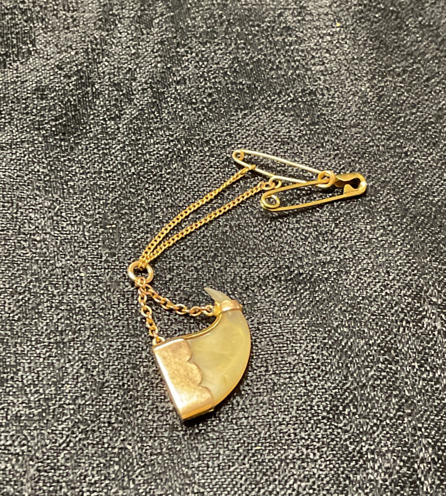 Antique 9ct gold tiger claw pendant with delicate chain.