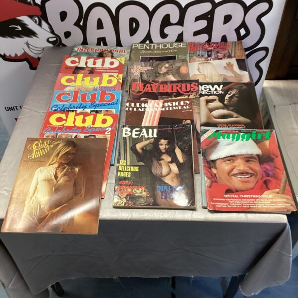 Vintage adult magazine bundle including Playgirl, Penthouse, and Beau.