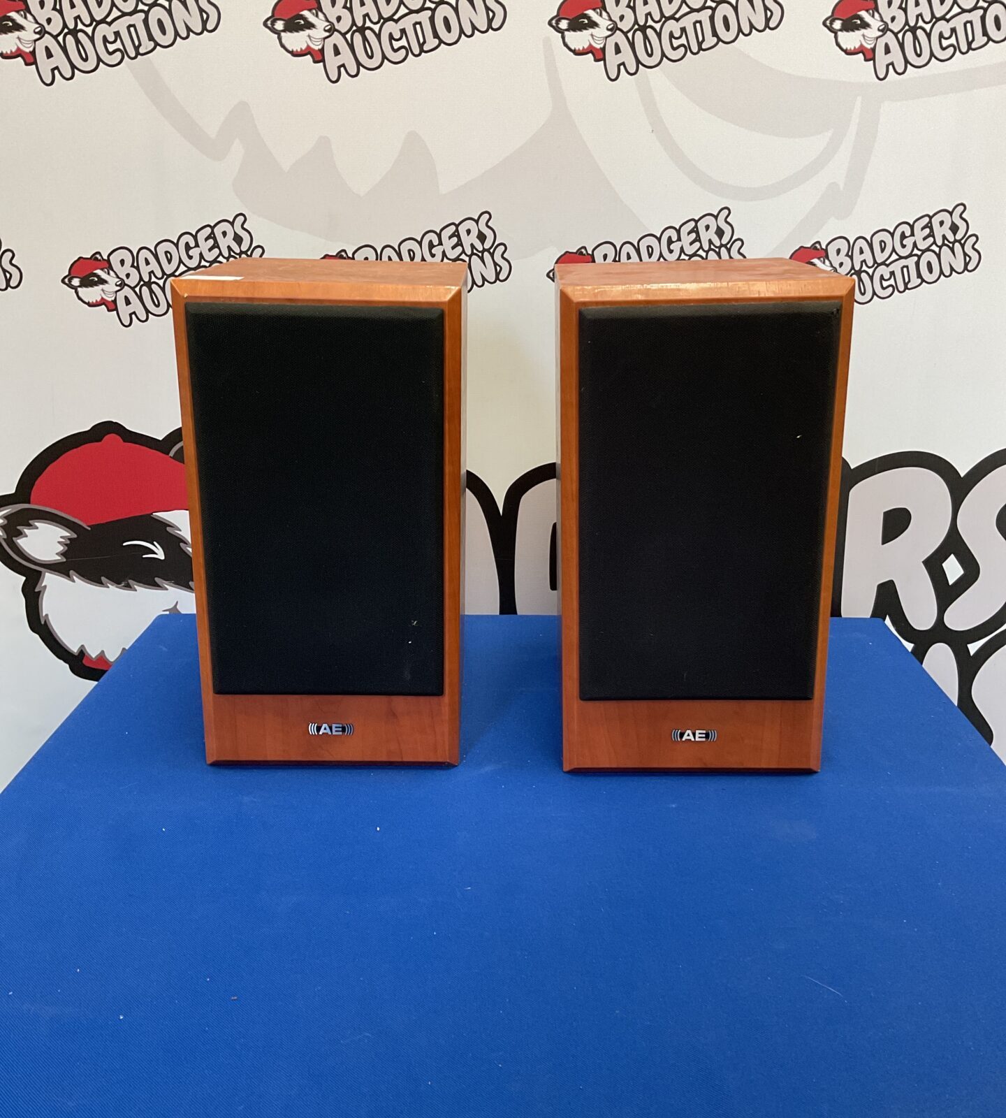 Pair of Aegis Evo One bookshelf speakers in excellent condition.