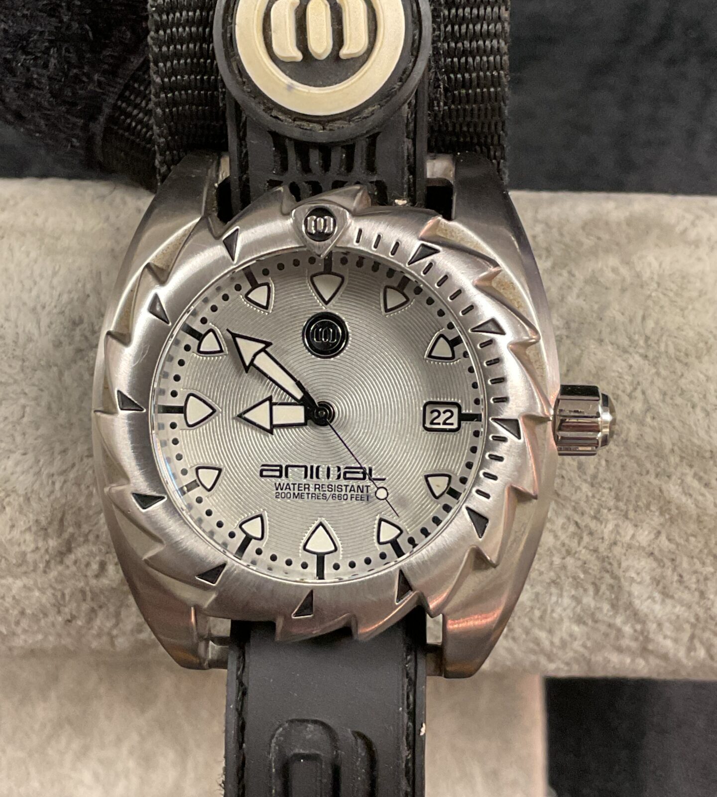Close-up of the grey dial Animal quartz wristwatch with rotating bezel.