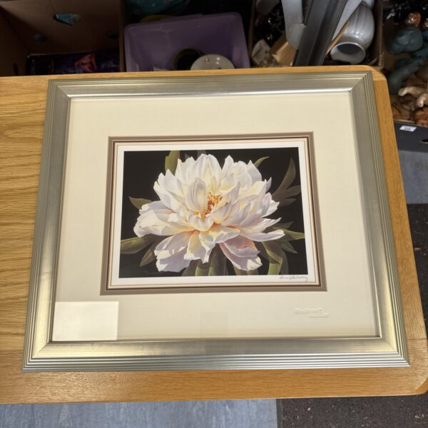 Signed Ann Salisbury floral print, delicate botanical artwork in a frame.