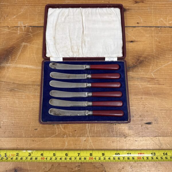 Cased set of vintage art deco cake knives with red coral handles.