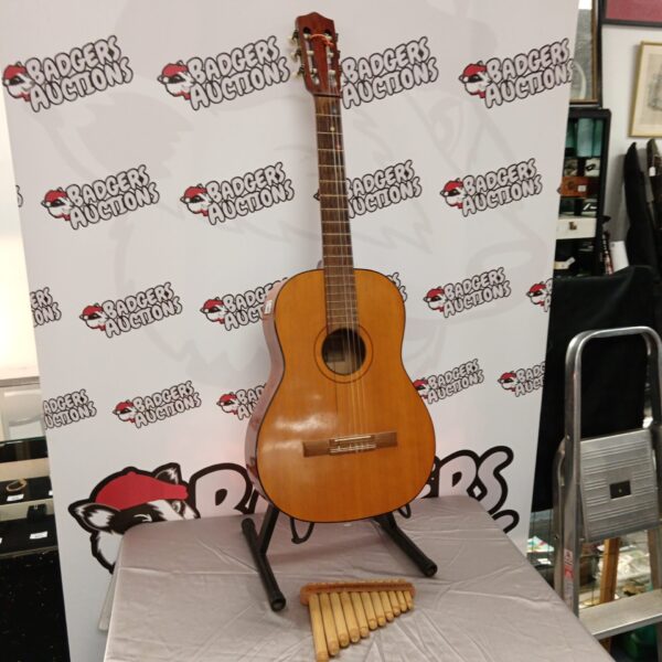 Vintage Bm Hertz Meister acoustic guitar with panpipes displayed.