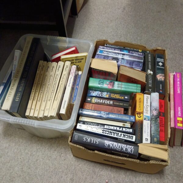 Vintage book lot including Disney Wonderful World of Knowledge titles.