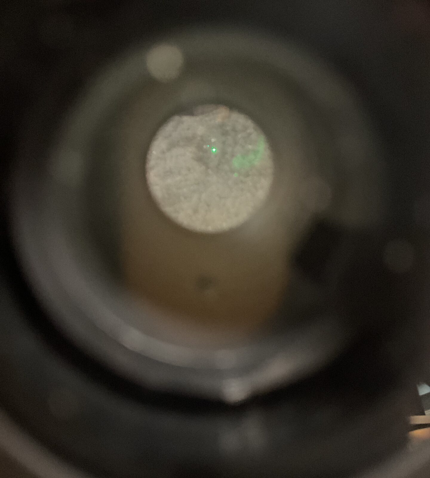 View through the Bushnell 1x40RD red dot sight reticle.