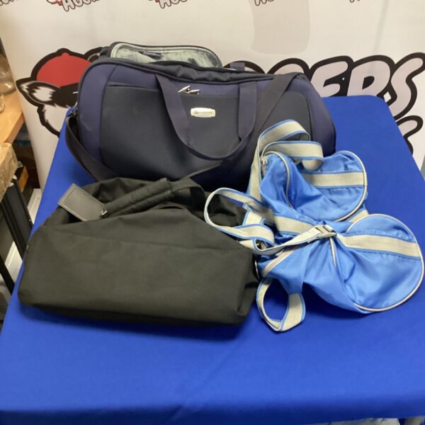 Carlton wheeled bag set with extendable handle and two smaller bags.