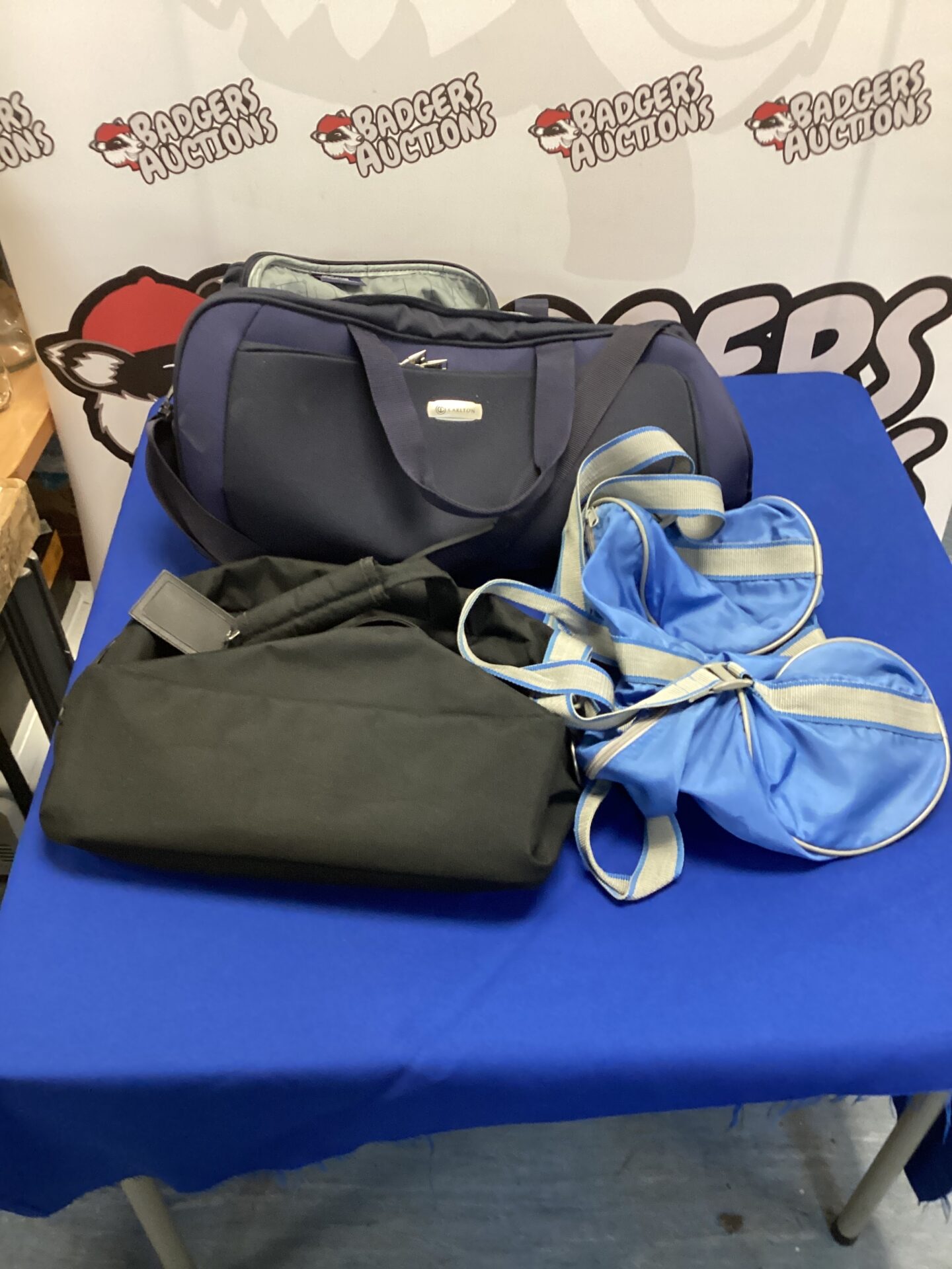 Carlton wheeled bag set with extendable handle and two smaller bags.