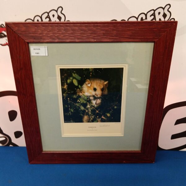 Signed David Shepherd door mouse limited edition wildlife print.