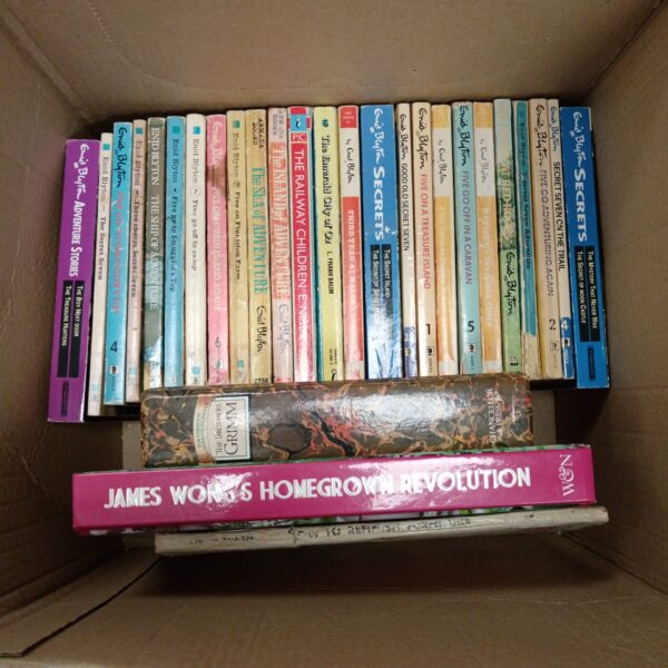 Vintage Enid Blyton book collection, classic children's literature.