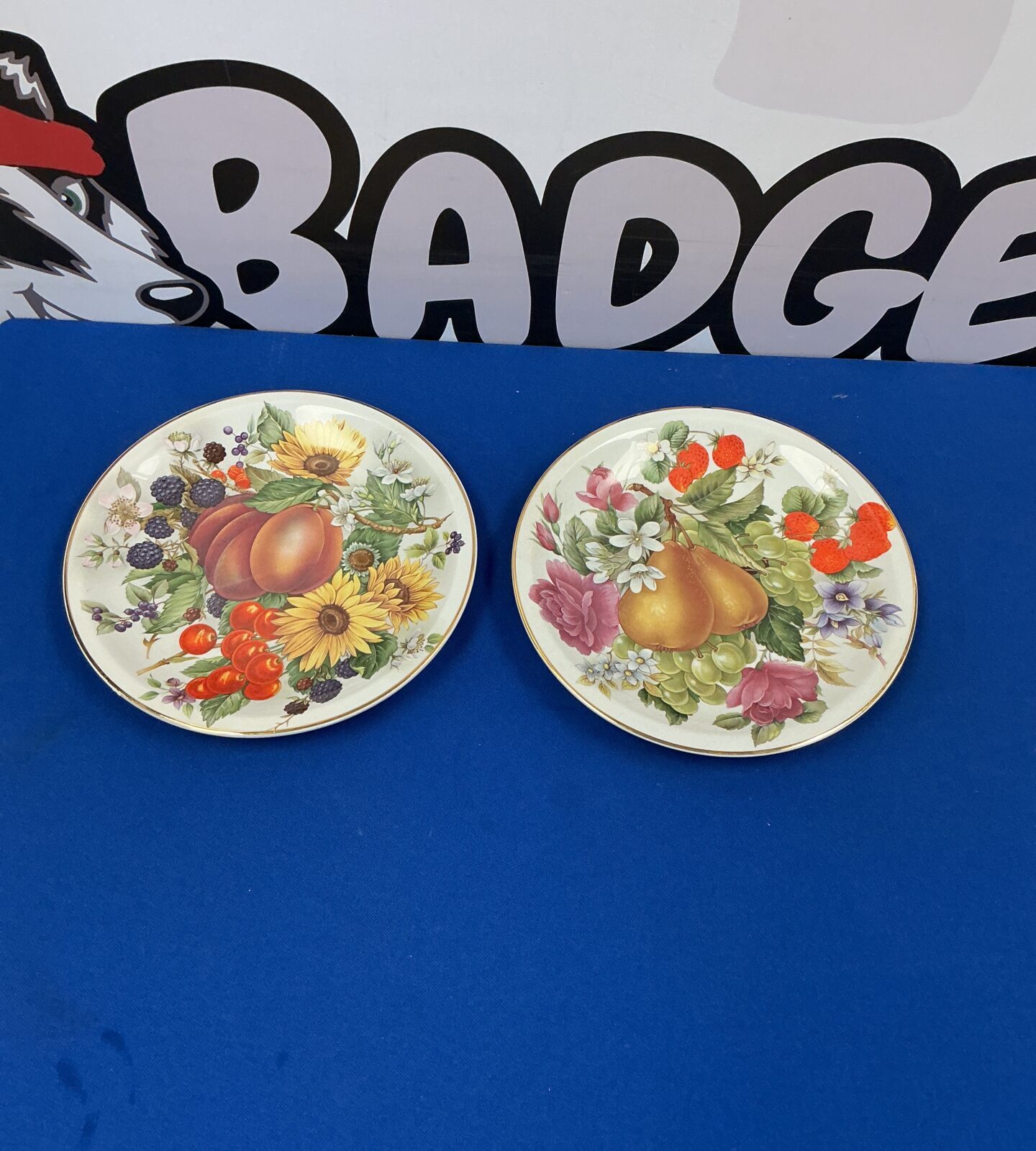 Vintage Fenton China collectors plates with floral design.