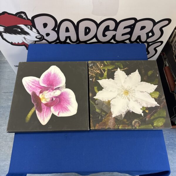 Close-up of a vibrant floral canvas print set.