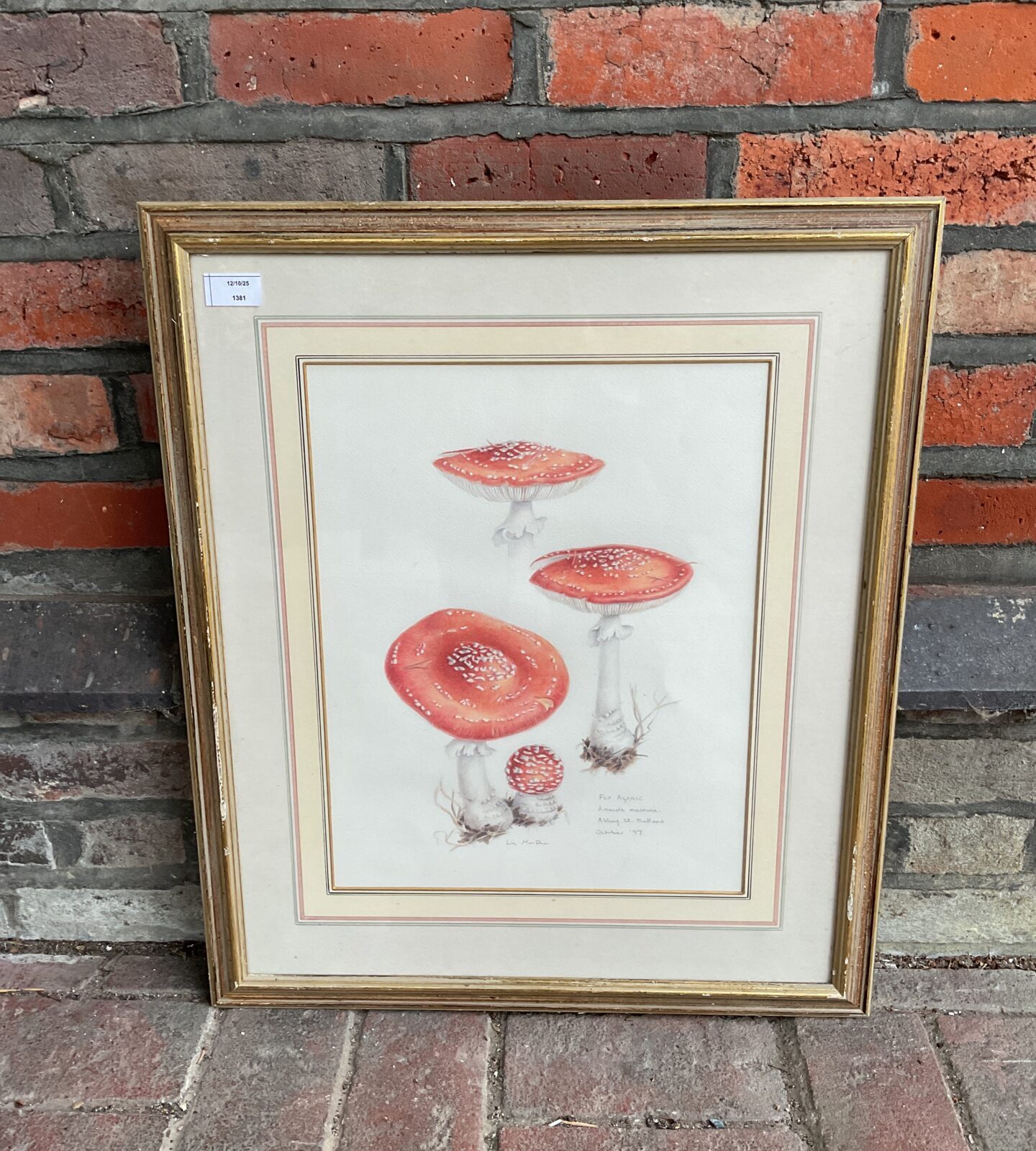 Vintage watercolour painting of fly agaric mushrooms by Liz Man Rae.
