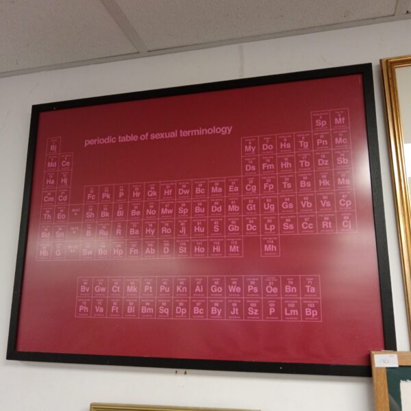 Framed periodic table of sexual terminology, unique wall art.