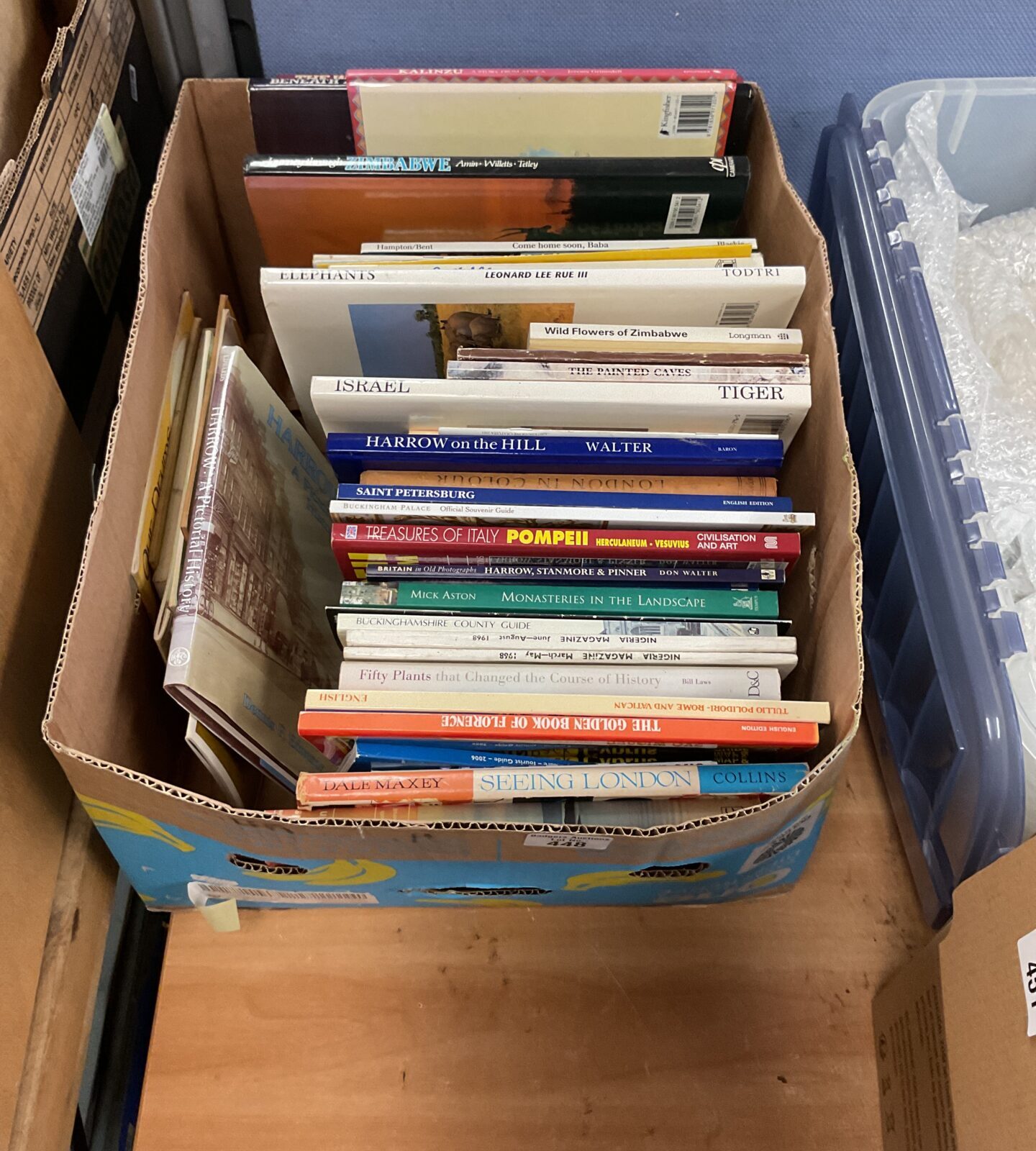Mixed lot of vintage geographical books for collectors.