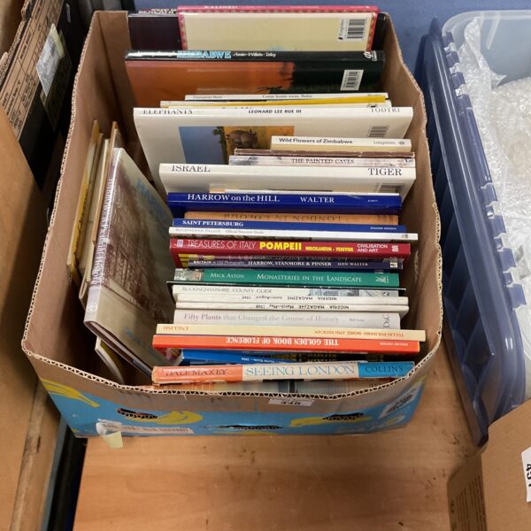 Mixed lot of vintage geographical books for collectors.