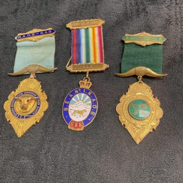 Vintage Royal Antediluvian Order of Buffaloes jewels in a lot.