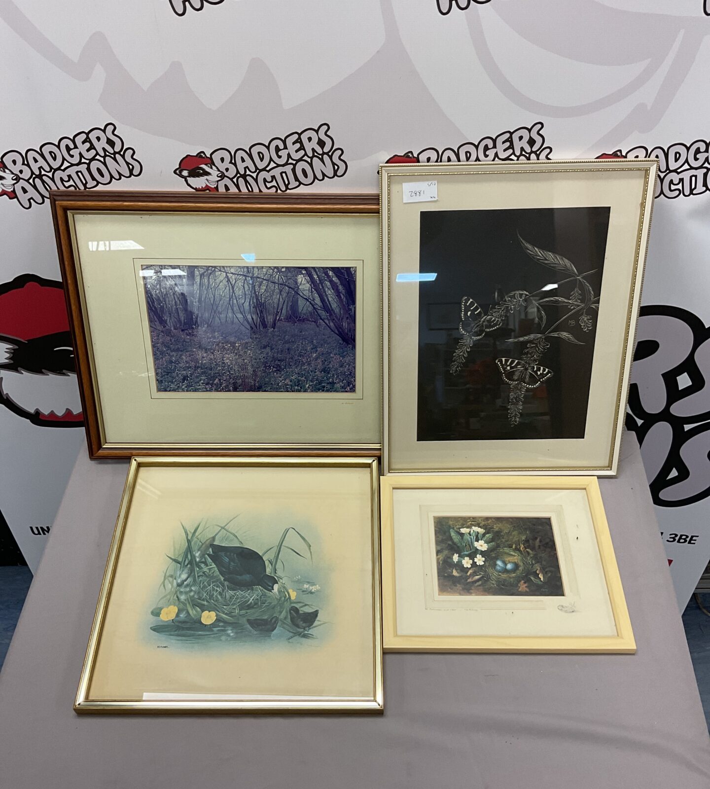 Four framed prints including m j pledger coot print