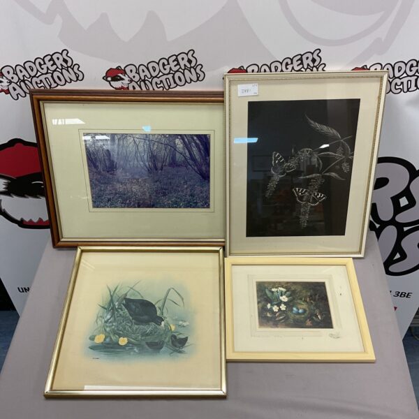 Four framed prints including m j pledger coot print