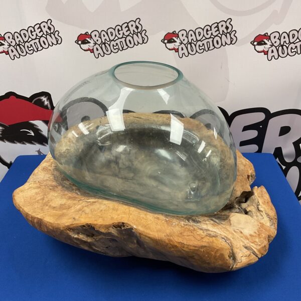 Large glass terrarium with a natural driftwood base for plant display.