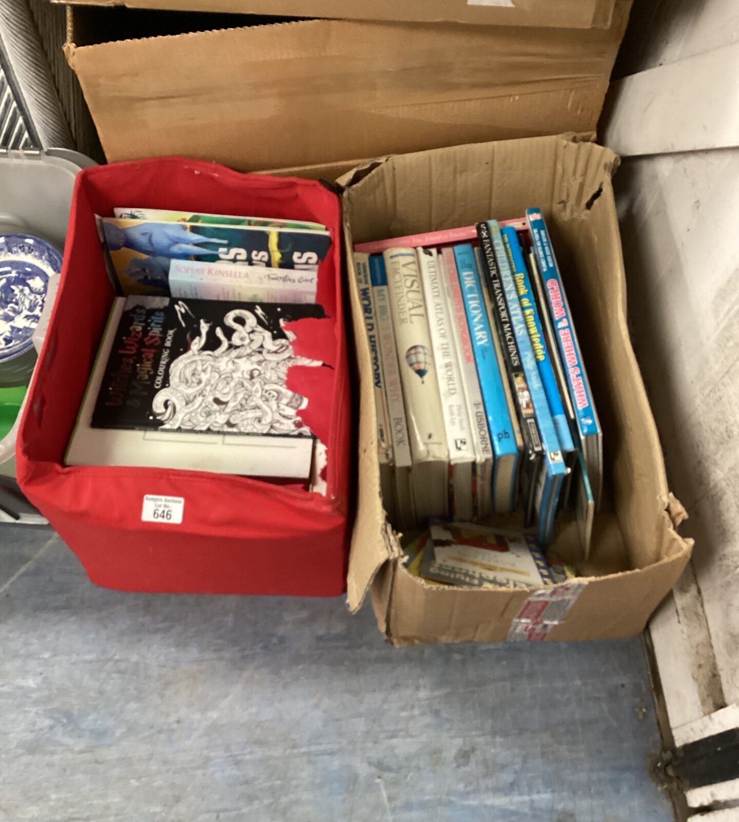 Mixed book lot in cardboard boxes, children's and knowledge books.