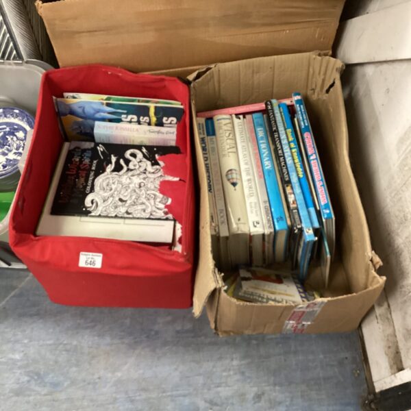 Mixed book lot in cardboard boxes, children's and knowledge books.