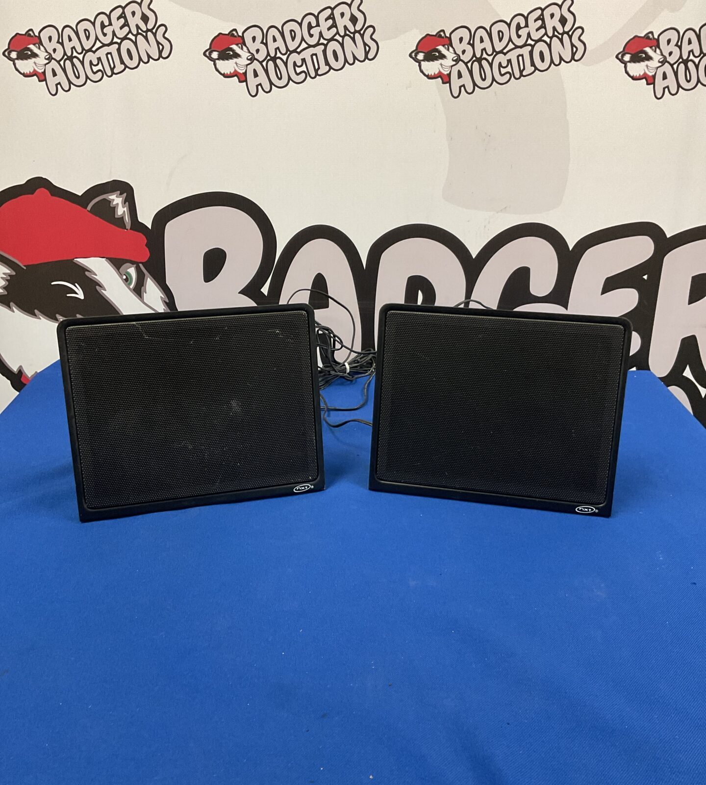 Pair of vintage NXT speakers for home audio system.