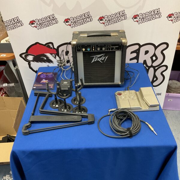 Guitar amplifier and accessories lot featuring a Peavey Companion 15.