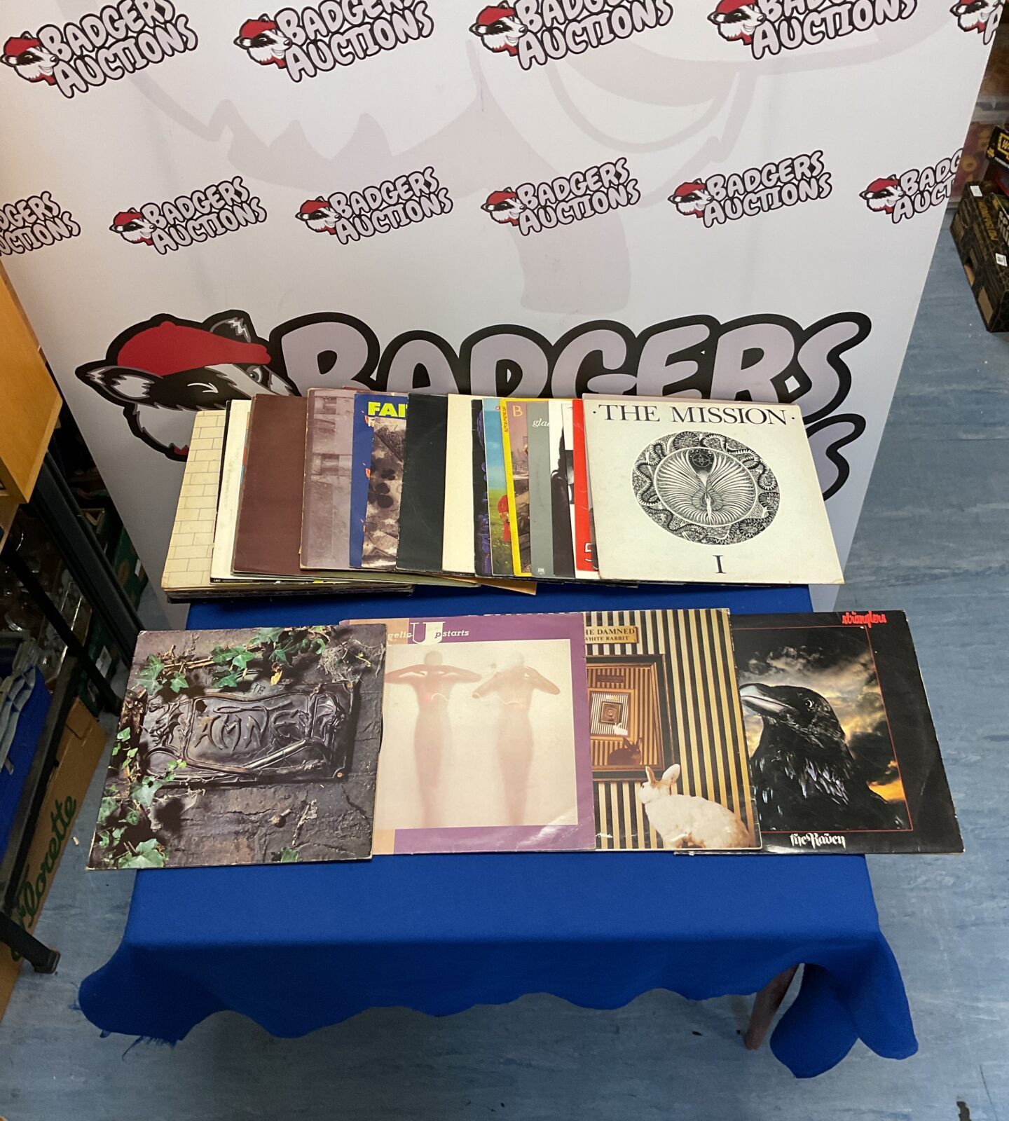 Collection of Punk and Rock 12” vinyl LPs for sale.