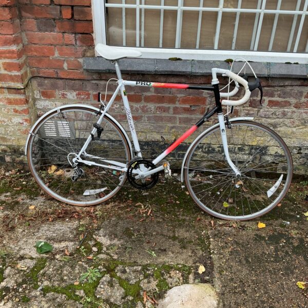 Side view of a vintage Raleigh Pro race bike.