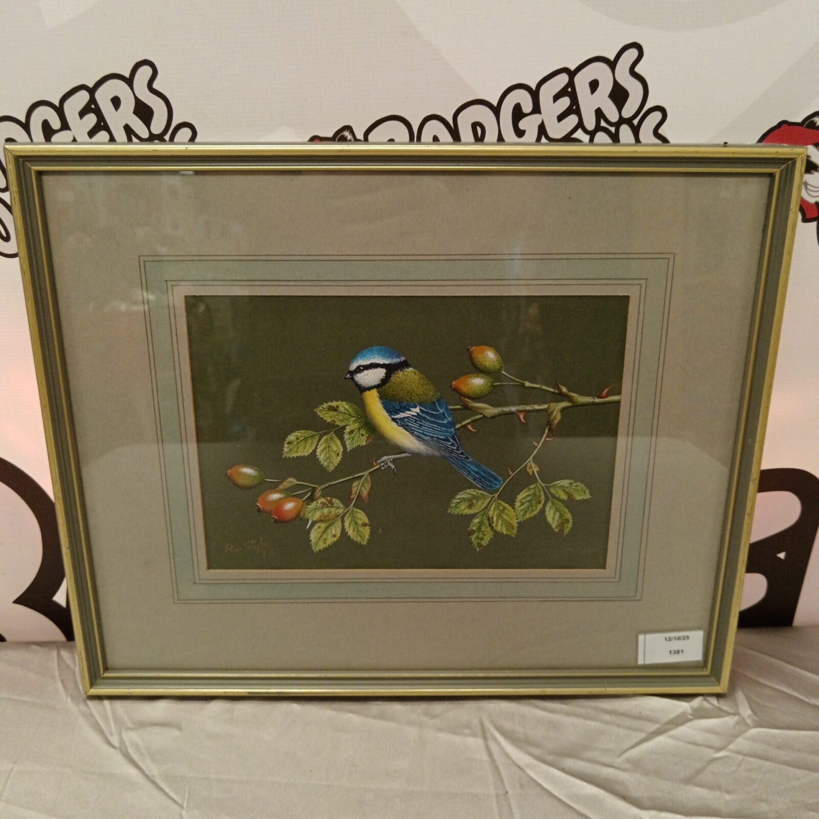 Vibrant watercolour painting of a blue tit by Wycombe artist Ray Styles.